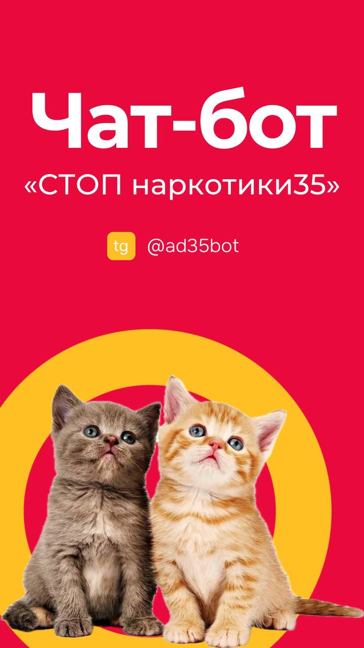 На Вологодчине работает Telegram чат-бот @ad35bot по борьбе с распространением наркотиков.