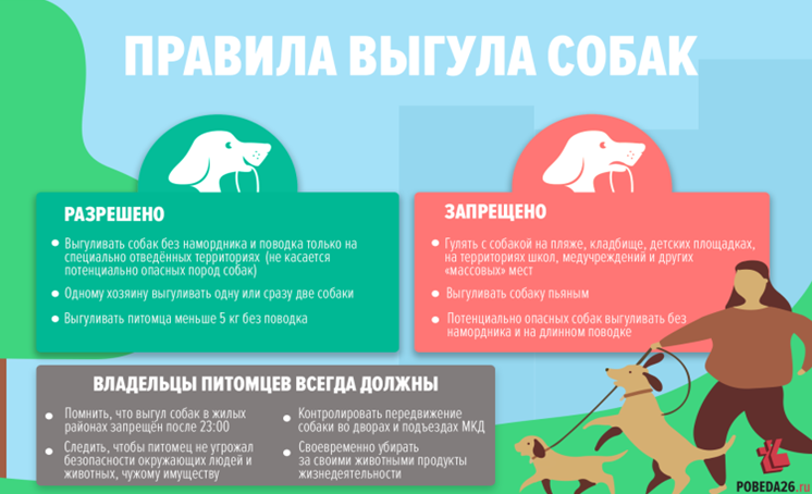 Ответственность за самовыгул собак: какое наказание предусмотрено за собаку без привязи.