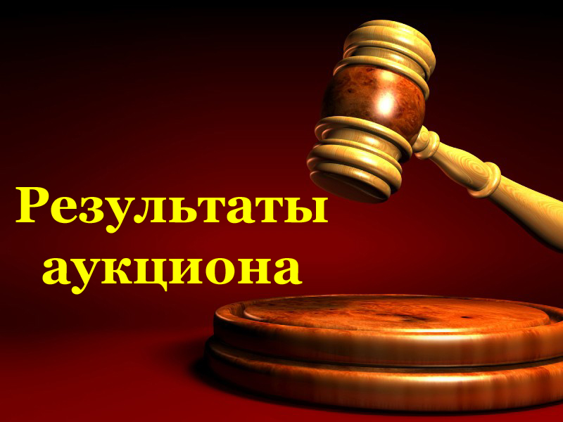 Протокол итогов аукциона от 19.05.2025г..
