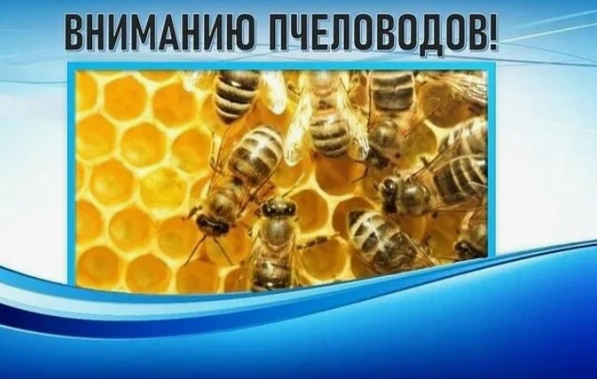 О проведении IX муниципального конкурса пчеловодов.