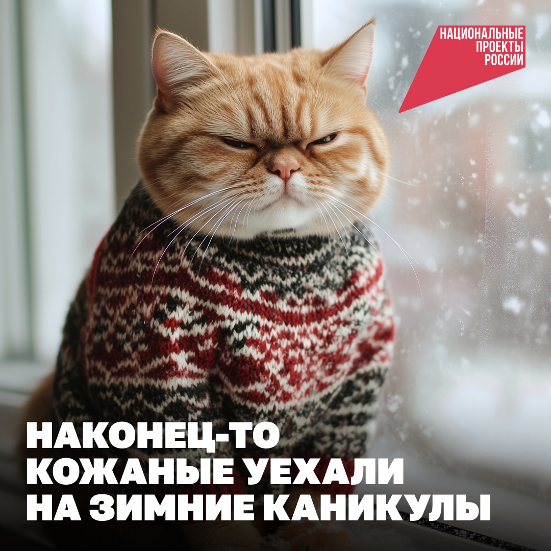 Даже ваш котик мечтает, чтобы вы больше путешествовали! Порадуйте и шерстяного, и себя!.