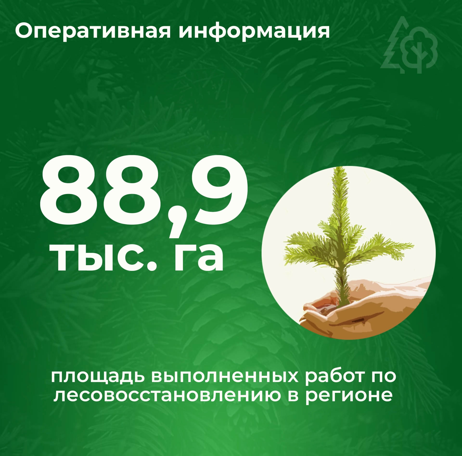 ЛЕСОВОССТАНОВЛЕНИЕ В ЦИФРАХ.