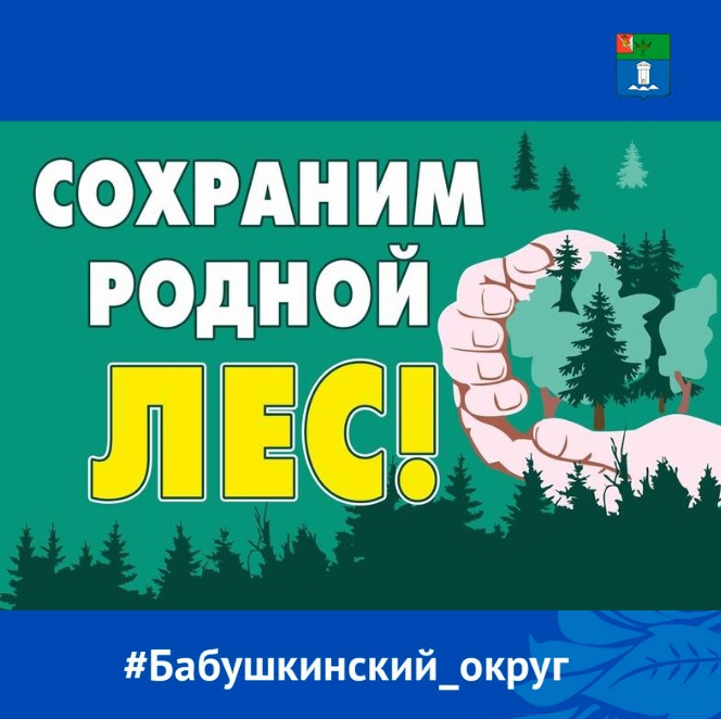 На Вологодчине подвели итоги акции &quot;Сохраним лес&quot;.