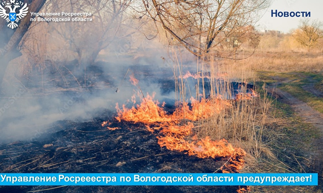 В Вологодском Росреестре напомнили о необходимости соблюдения мер пожарной безопасности на землях сельскохозяйственного назначения.