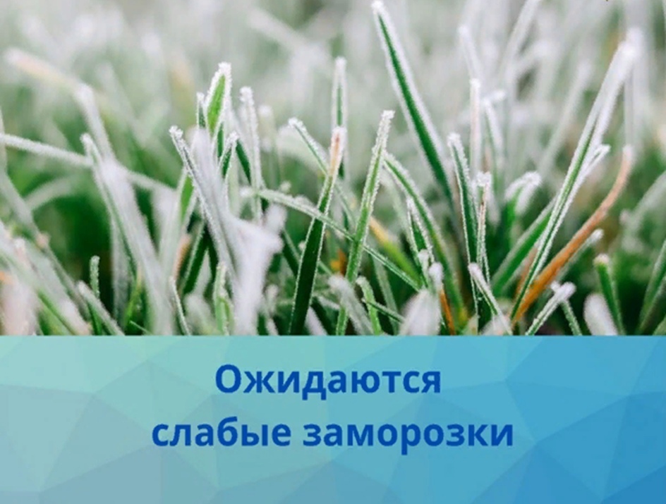 Неблагоприятных погодные условия.