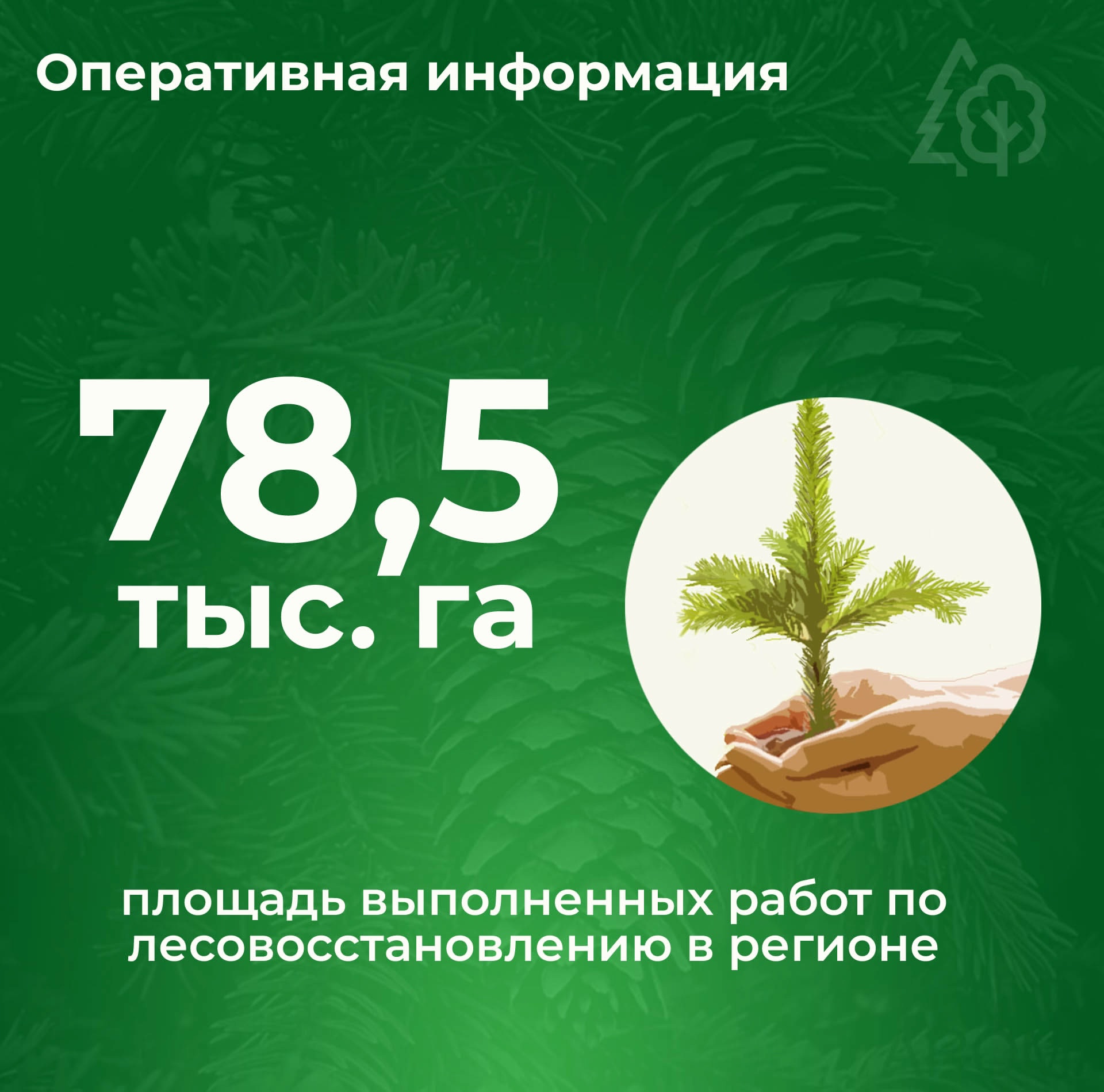 ЛЕСОВОССТАНОВЛЕНИЕ В ЦИФРАХ.