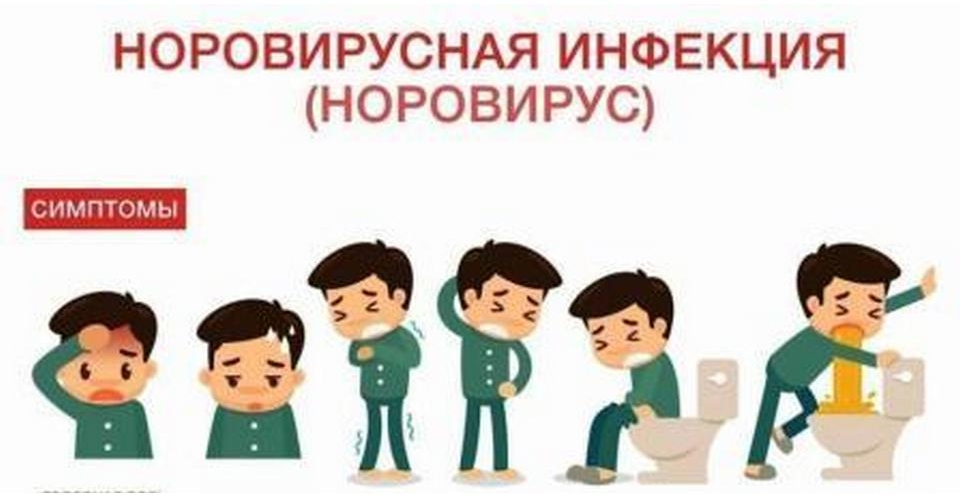 Норовирусная инфекция.