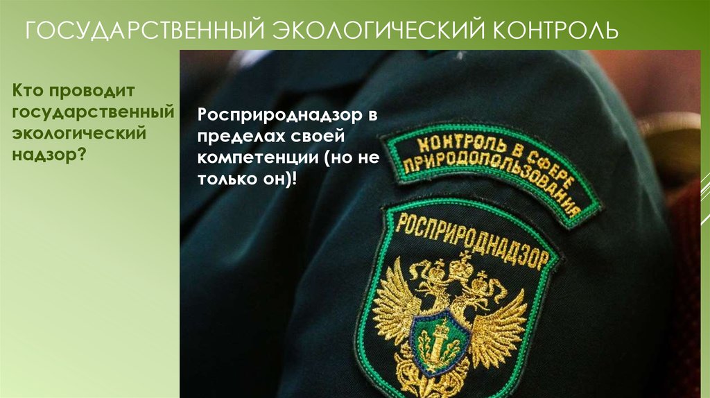 Правовое регулирование государственного экологического надзора.