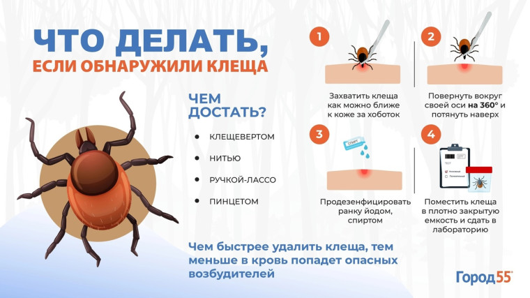 Мониторинг за клещевыми инфекциями. Мониторинг за клещевыми инфекциями.