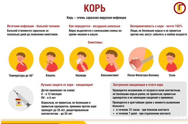Профилактика кори. Профилактика кори.