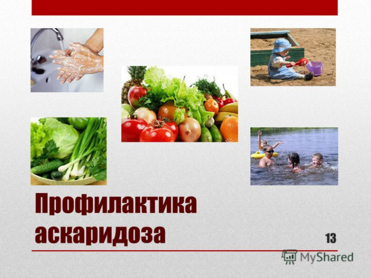 Меры профилактики аскаридоза. Меры профилактики аскаридоза.