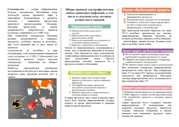 Памятка по сальмонеллёзу. Памятка по сальмонеллёзу.