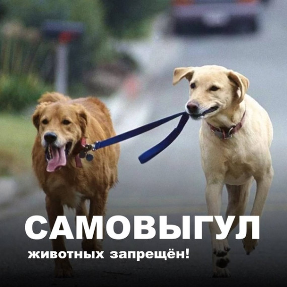 Уважаемые жители!. Уважаемые жители!.