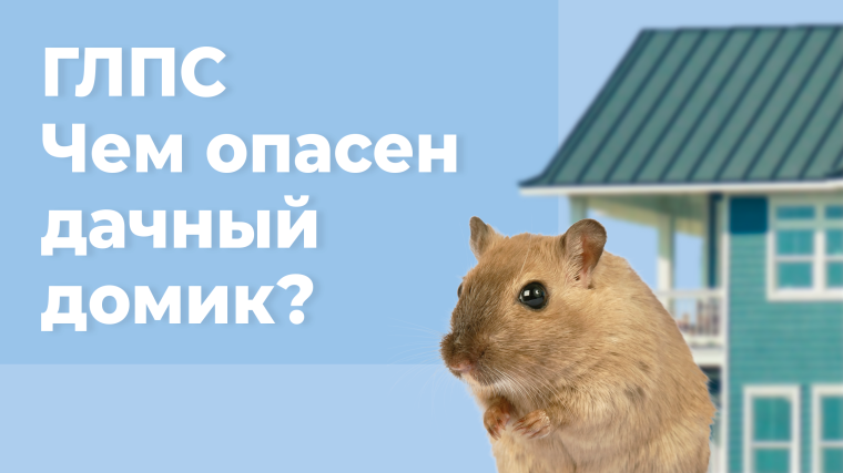 ГЛПС. Чем опасен дачный домик?. ГЛПС. Чем опасен дачный домик?.