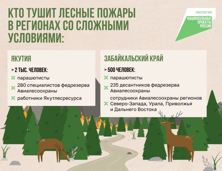 Пожароопасный сезон в самом разгаре — с пламенем в лесах борются по всей стране.. Пожароопасный сезон в самом разгаре — с пламенем в лесах борются по всей стране..