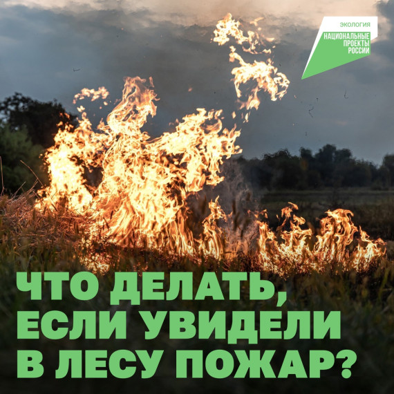 Летом высокие риски лесных пожаров — в августе в 47 регионах страны сохранится жаркая, сухая погода. Летом высокие риски лесных пожаров — в августе в 47 регионах страны сохранится жаркая, сухая погода.