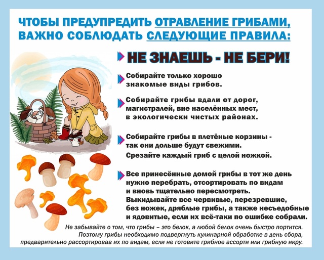 Роспотребнадзор: О мерах профилактики отравлений грибами. Роспотребнадзор: О мерах профилактики отравлений грибами.