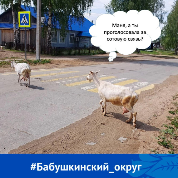Вологжане приглашаются принять участие в голосованиях на Портале госуслуг. Вологжане приглашаются принять участие в голосованиях на Портале госуслуг.
