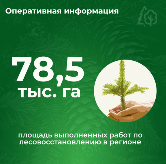 ЛЕСОВОССТАНОВЛЕНИЕ В ЦИФРАХ. ЛЕСОВОССТАНОВЛЕНИЕ В ЦИФРАХ.