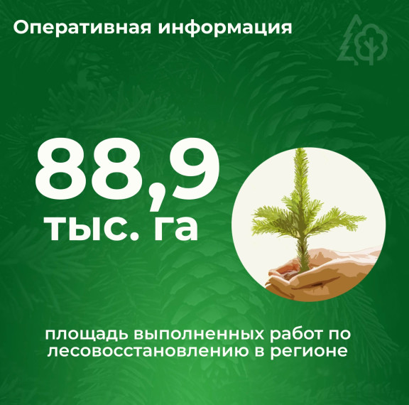 ЛЕСОВОССТАНОВЛЕНИЕ В ЦИФРАХ. ЛЕСОВОССТАНОВЛЕНИЕ В ЦИФРАХ.