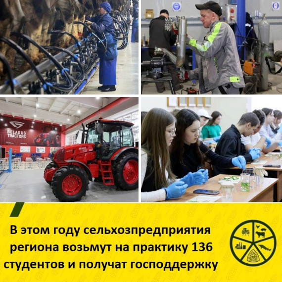 И практикантов научат, и компенсацию получат. И практикантов научат, и компенсацию получат.