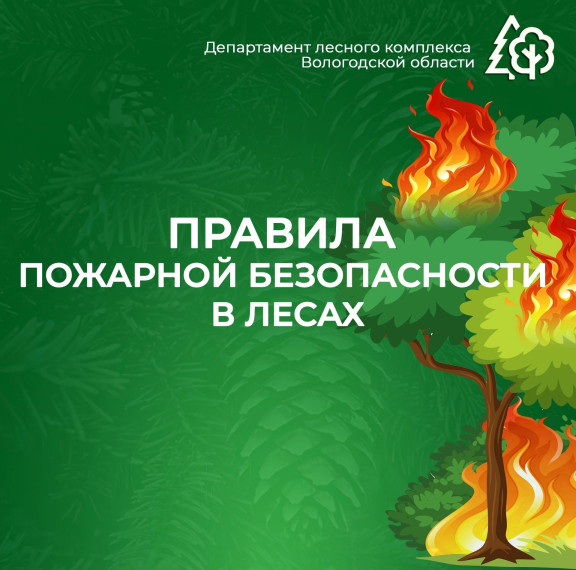 Просим жителей и гостей нашего региона соблюдать правила поведения в лесах. Просим жителей и гостей нашего региона соблюдать правила поведения в лесах.