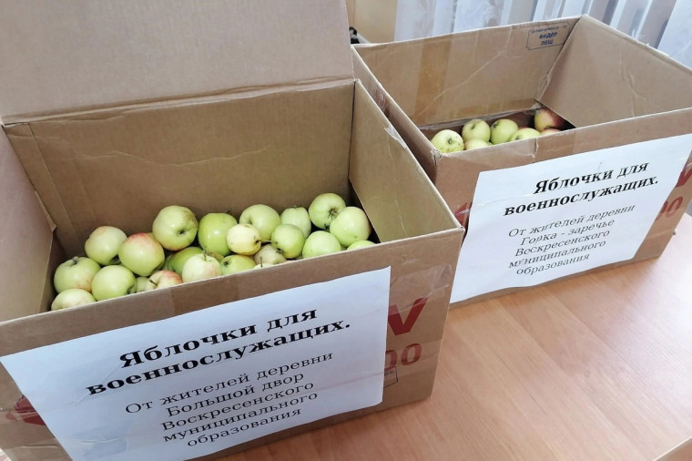 Более пяти тонн яблок собрали вологжане для отправки бойцам СВО. Более пяти тонн яблок собрали вологжане для отправки бойцам СВО.