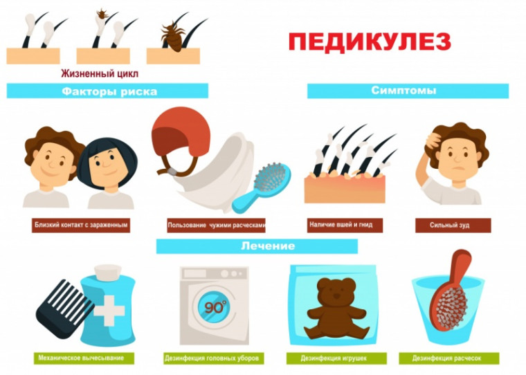 Профилактика педикулёза. Профилактика педикулёза.