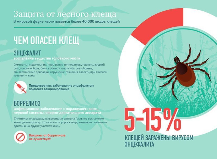 Итоги сезона активности клещей. Итоги сезона активности клещей.