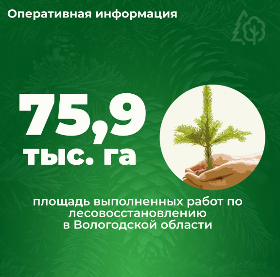 Леса восстанавливаются. Леса восстанавливаются.