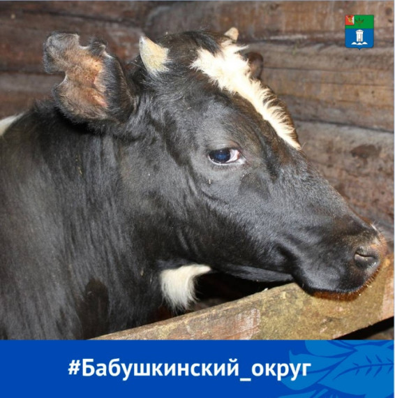 С 2024 года учет личных подсобных хозяйств будет вестись в электронной форме. С 2024 года учет личных подсобных хозяйств будет вестись в электронной форме.
