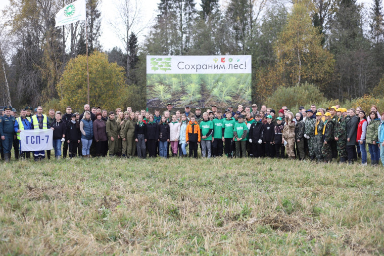 На Вологодчине подвели итоги акции "Сохраним лес". На Вологодчине подвели итоги акции "Сохраним лес".