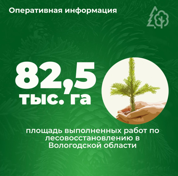 ЛЕСОВОССТАНОВЛЕНИЕ В ЦИФРАХ. ЛЕСОВОССТАНОВЛЕНИЕ В ЦИФРАХ.