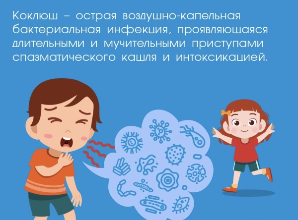 Профилактика коклюша. Профилактика коклюша.