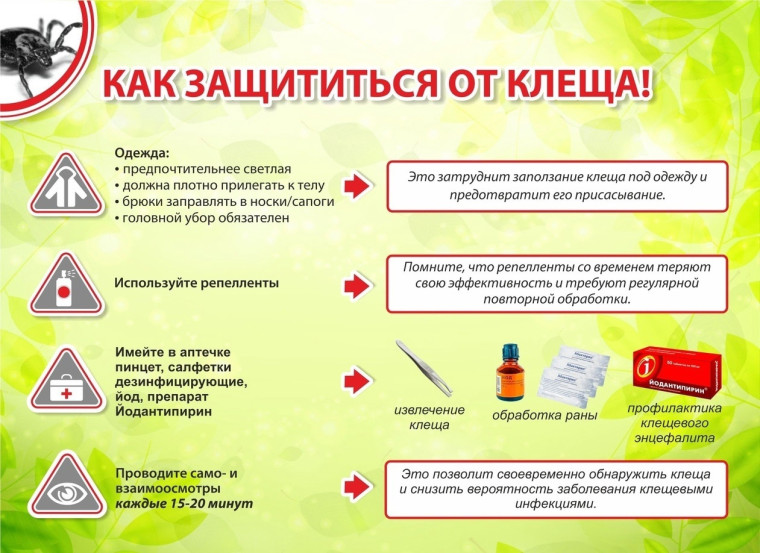 Период активности клещей начался.. Период активности клещей начался..