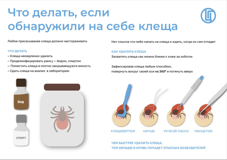 Еще раз про клещей.. Еще раз про клещей..